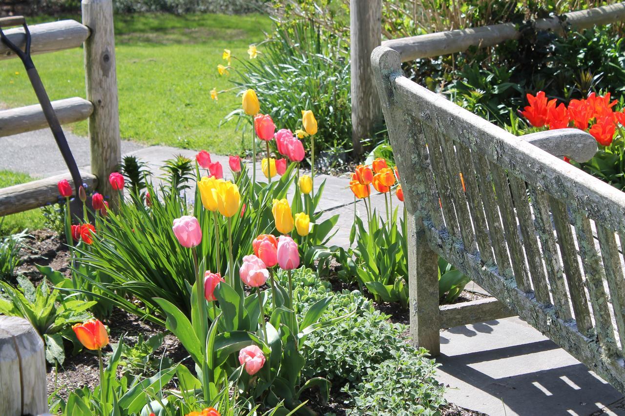 Bed and Breakfast Lavender Bay Barnstable Zewnętrze zdjęcie
